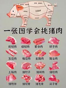 梅头肉在猪的部位大全图解_鲜嫩多汁，炖煮红烧皆宜