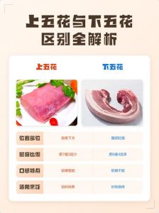 上五花和下五花的区别_上五花卤炖，下五花快炒，选对五花肉更美味！