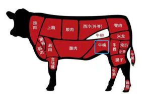 牛肋条位置图片_肥瘦相间，烧烤炖煮皆宜