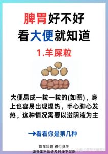 俗称的屎包是哪个器官_鸡胗与鸡屎包的区别，美食与中药价值