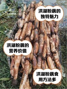 粉藕煮多久几分钟能熟_莲藕怎么煮？脆爽粉糯看时间