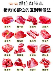 猪身上梅花肉位置图_前腿嫩肉，煎炒皆宜