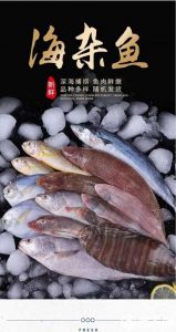 深海鱼包括哪些鱼_发光捕食者，生态保护关键