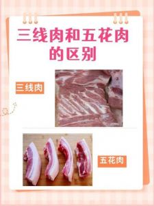 三线肉和腿子肉的区别_三线肉与腿子肉如何选？