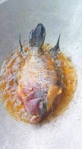 罗汉鱼吃面包虫吗_去壳冷冻，适量搭配，水质也很重要