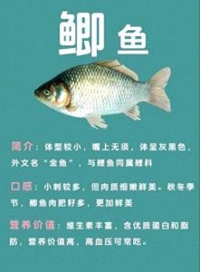 鲤鱼跟鲫鱼的区别图片_鲫鱼银白鲤鱼黄，细线钓鲫鱼粗线钓鲤鱼