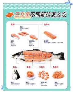 三文鱼背柳是哪个部位_嫩滑弹牙，煎烤刺身皆美味！