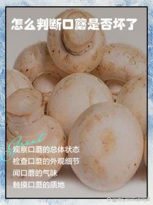 口蘑多长时间能熟_水煮蒸烤快炒时间全知道！