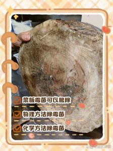 菜板发霉处理方法_火烧法详解