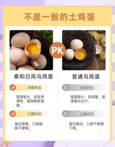 乌鸡蛋和普通鸡蛋哪个好_乌鸡蛋营养好，幼儿女性更适宜