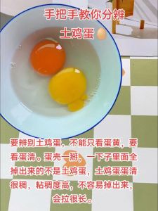 柴鸡蛋和普通鸡蛋的营养区别_风味营养怎么选？