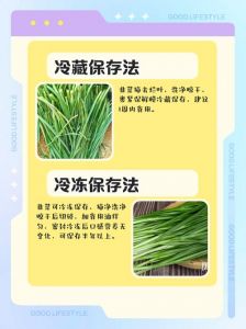 韭菜洗了还能放冰箱吗_韭菜洗后巧保存，24小时内吃最佳