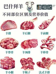 羊杂一般是哪些部位_羊心肝肺肚肠各具特色