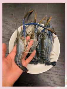 罗氏虾水开煮几分钟_罗氏虾煮多久？5-8分钟口感佳