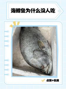 海鲫鱼有刺吗_海边常见鲜美鱼，鱼刺多做法多