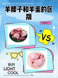 羊腰子部位图_羊肾羊腰子有啥区别？