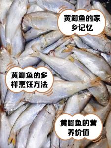 黄鲫子鱼与海鲫鱼区别_区别与食用方法