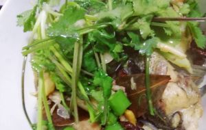 大头鱼适合做水煮鱼吗_选对鱼，腌好鱼，煮出鲜嫩麻辣味