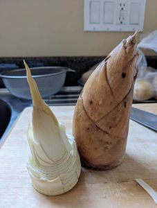 笋子切片怎么切_剥壳切片，煲汤炒肉都美味