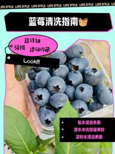 蓝莓怎么洗才干净_盐水淘米水，简单又干净！