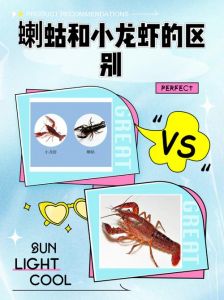 海喇蛄是小龙虾吗_味道肉质大不同