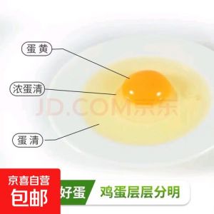绿壳鸡蛋和粉壳鸡蛋哪个好_营养与口感大比拼