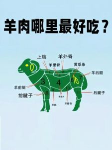 羊杂图解部位图_羊肉部位口感做法各不同