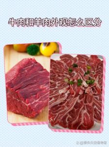 牛胸口和燕翅哪个肥_肥美口感大比拼