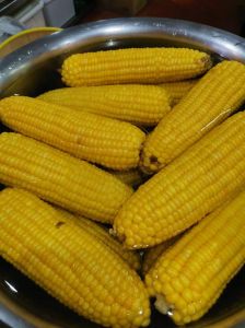 煮玉米要煮多少才全熟_玉米水煮时间与技巧