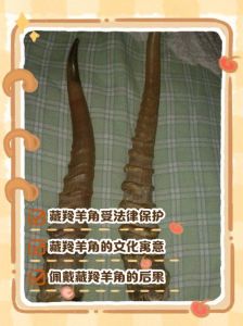 羊拐角位置示意图_酱焖羊拐骨软烂香浓，山西朔州特色小吃，羊头颈肉美味做法多