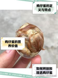 蛋鸡产小蛋是什么原因_蛋鸡产小蛋原因及防治方法