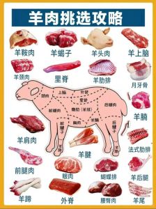 羊杂碎都有哪些部位_各地风味，鲜美内脏大集合