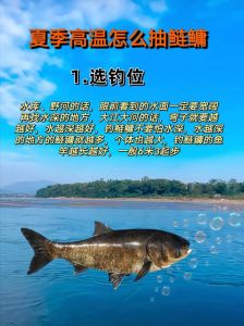 鲢鳙是雄鱼吗_鳙鱼是大头鱼，滤食性，肉鲜美