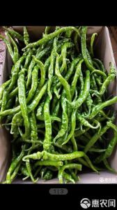 线椒是螺丝椒吗_线椒螺丝椒怎么选？外观口感大不同！