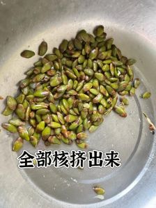 黄皮果腌制方法，酸甜可口好滋味！