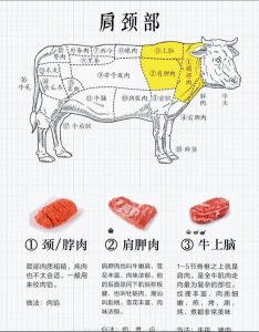 牛的各部位名称图解_牛身体部位及烹饪知识