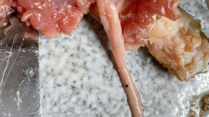 7分熟的牛排有寄生虫吗_7分熟有风险，全熟最保险