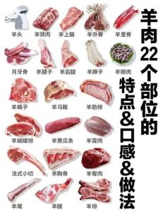 羊拐位置图_美味食材与童年玩具