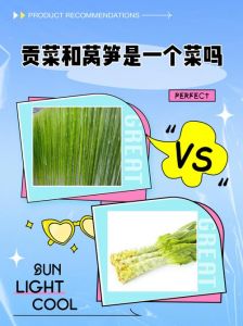 贡菜和莴笋是一种东西吗_贡菜莴笋虽同类，却大不同！