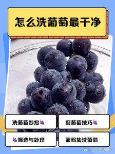 怎么洗葡萄最干净_清洗葡萄，去农残，带蒂剪，碱水泡，保新鲜