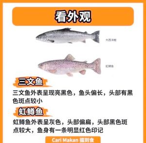 红鳟鱼是三文鱼吗_名称之争与消费疑问
