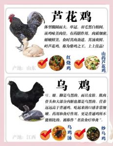 烧鸡柴鸡和蛋鸡的区别_三黄鸡嫩快 柴鸡香韧选哪个？