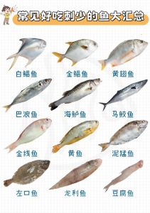 海鲫鱼为什么刺多_海鲫鱼多刺但美味，烹饪有妙招！