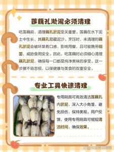 莲藕洞里的泥巴怎么清理_刷洗泡净超干净！