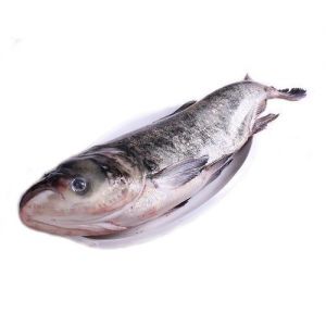 大头鱼就是花鲢鱼吗_大头鱼是花鲢鱼，不是麻鲢鱼