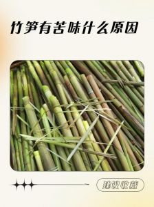 笋子发苦是什么原因_竹笋发苦？焯水盐水去苦涩，美味营养吃得到！