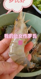 罗氏虾怎么去除内脏_罗氏虾去内脏，鲜甜可口做法