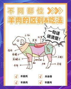 羊杂包含哪些部位_羊内脏美味，营养丰富！
