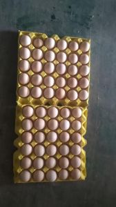 什么叫粉壳蛋_自然浅粉，营养更佳