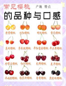车厘子和樱桃是一种水果吗_车厘子樱桃区别大，别被商家骗了！
